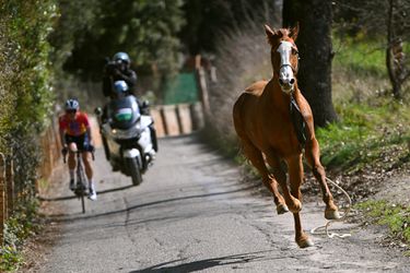 Gelukkig maar! Paard uit vrouwenkoers Strade Bianche maakt het goed