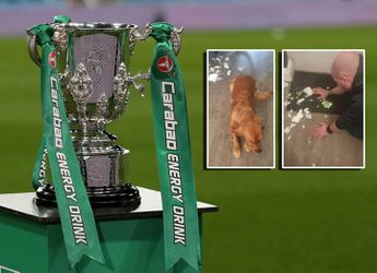 🐶 | Hond te koop! Rudy scheurt League Cup-finaletickets van zijn baasje in stukken