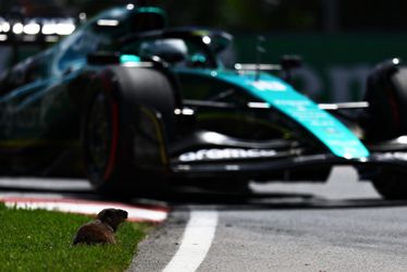 📸 | BIZAR! Een marmot steekt ff het Formule 1-circuit over en botst bijna met Sainz