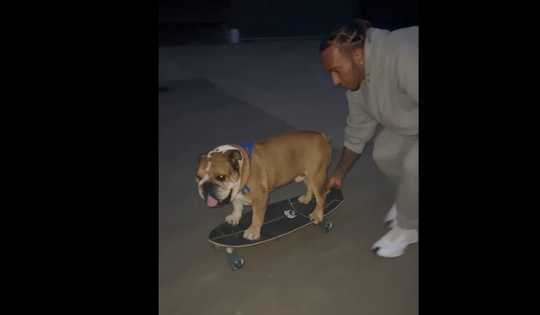 🎥​ | Lewis Hamilton zet zijn hond Roscoe op een skateboard