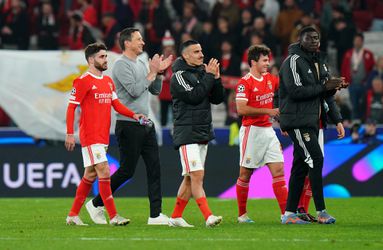 🎥 | Bekijk hier de samenvatting van de 5-klapper van Schmidts Benfica tegen Brugge