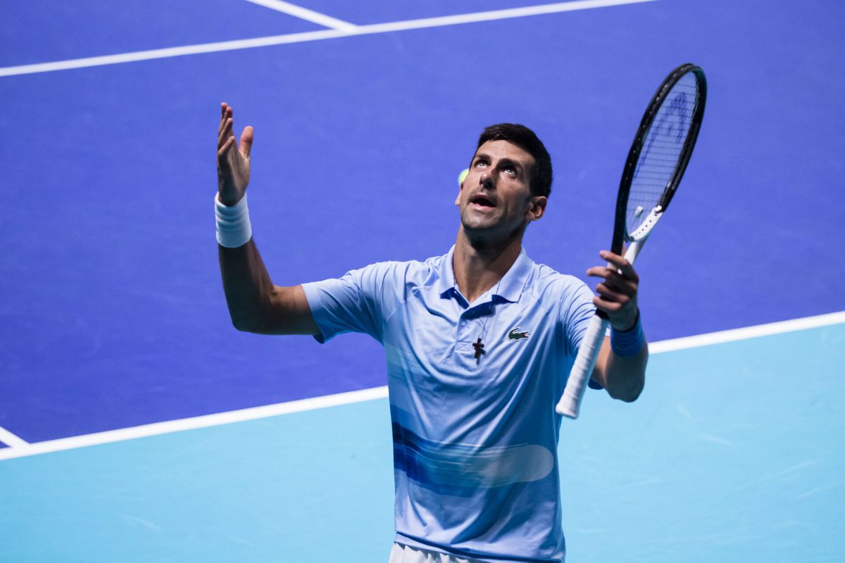 Servische wetenschappers vernoemen insect naar Novak Djokovic