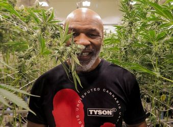 Bokslegende Mike Tyson opent coffeeshop in Amsterdam: 'Alles zelf getest'