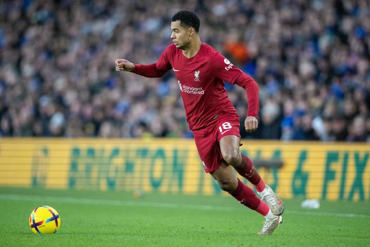 Klasse! Cody Gakpo wéér in de basis bij Liverpool