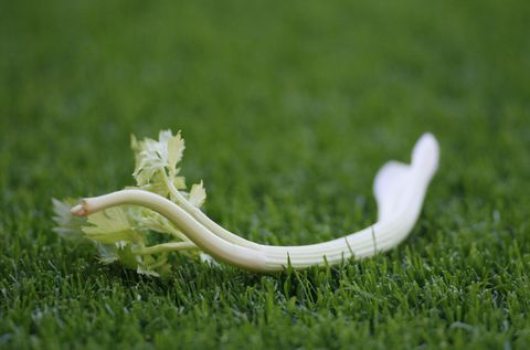 Dit is waarom Chelsea selderij verbiedt