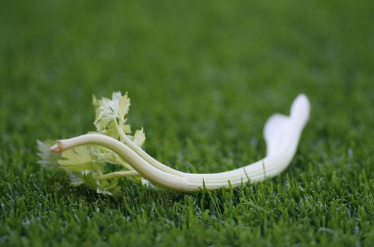 Dit is waarom Chelsea selderij verbiedt