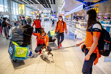 KLM wil nieuwe coronamalaise voorkomen in aanloop naar Winterspelen
