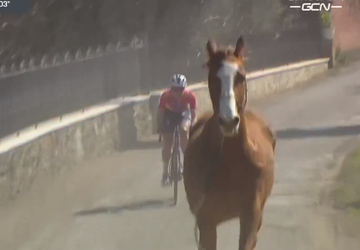 🎥😂 | Wat is dit?! Wielrenster Demi Vollering opgeschrikt door loslopend paard in Strade Bianche