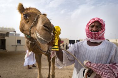 Deze landen hebben zich allemaal gekwalificeerd voor het WK voetbal in Qatar