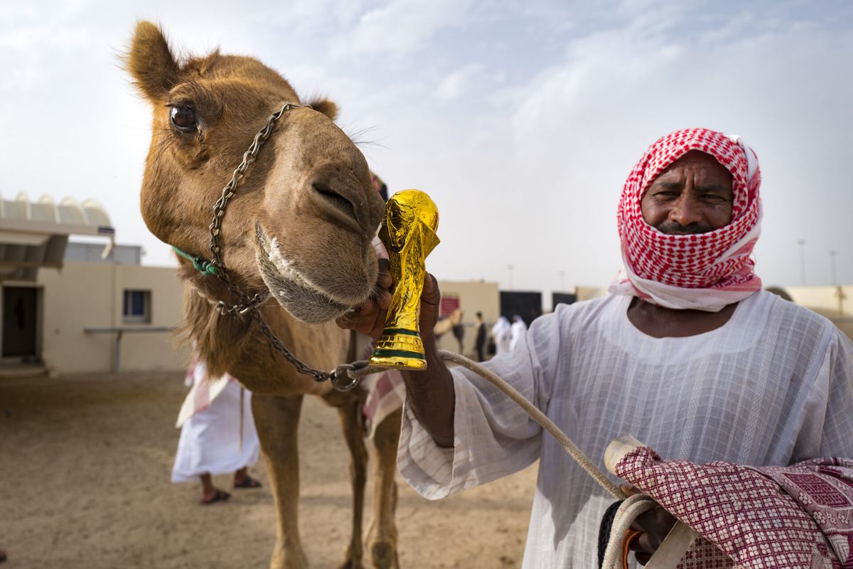 Deze landen hebben zich allemaal gekwalificeerd voor het WK voetbal in Qatar