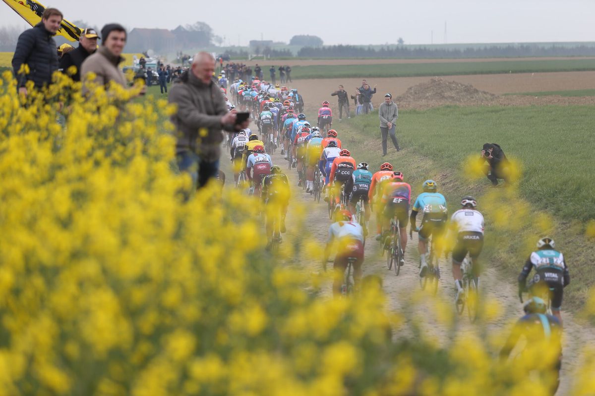 Beestenboel: Parijs-Roubaix zet geiten in voor veiliger parcours, Wout van Aert biedt zijn stal aan