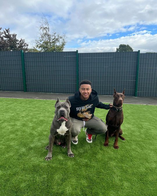 Jesse Lingard wordt beschuldigd van dierenmishandeling na Instagram-post