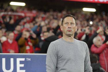 'Benfica-trainer Schmidt is zeer gecharmeerd van PSV-middenvelder'