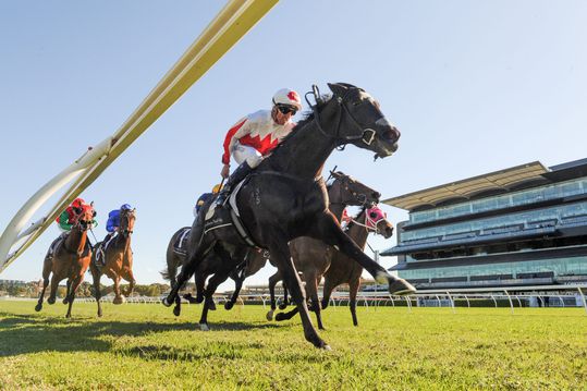 BIZAR! Jockey krijgt hoef van paard vol in zijn gezicht en breekt kaak (foto)