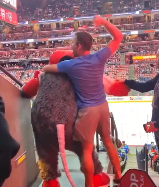 🎥 | Alleen in USA: aso NHL-fan mag Florida Panthers-mascotte ongestoord treiteren