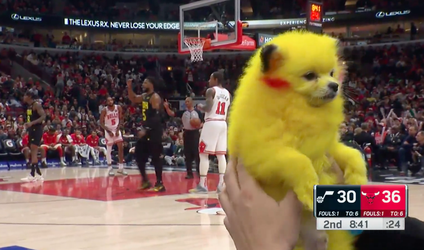 😡 | Kritiek op Pikachu-mascotte bij NBA-duel: 'Die hond heeft hier niet om gevraagd'