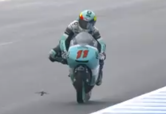 Superslomo in MotoGP: bijna aanrijding met Japans vogeltje (video)