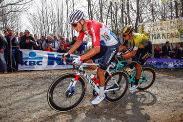Bookmakers bombarderen Van der Poel tot topfavoriet voor Ronde van Vlaanderen