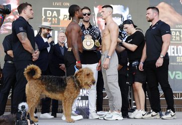 🎥​ | Weigh-in wordt woof-in: bokser Austin Williams neemt hond mee