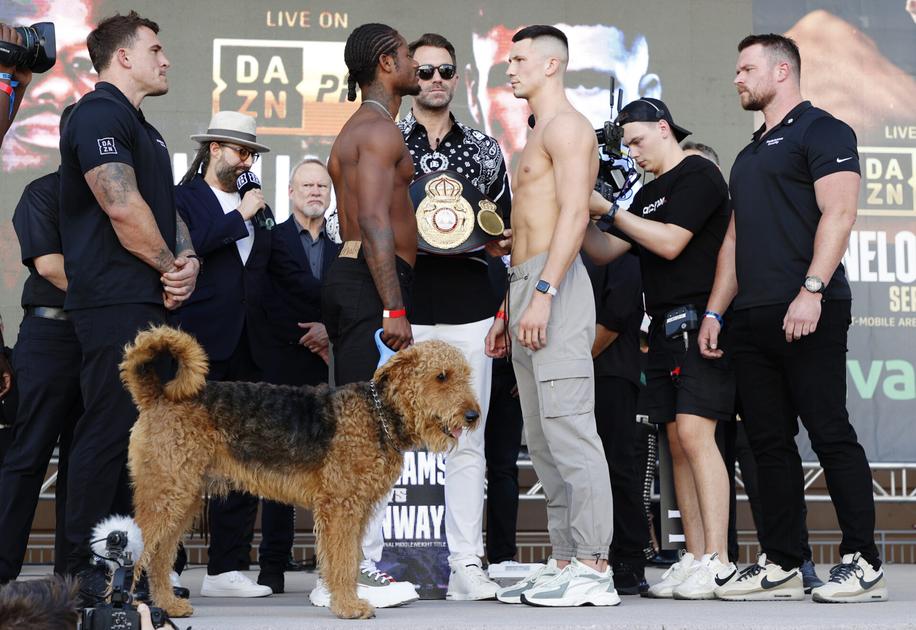 🎥 | Weigh-in wordt woof-in: bokser Austin Williams neemt hond mee ...
