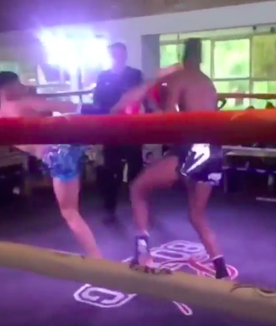 🎥 | SNELSTE KO OOIT!? Kickbokser schopt opponent na 3 seconden in slaap