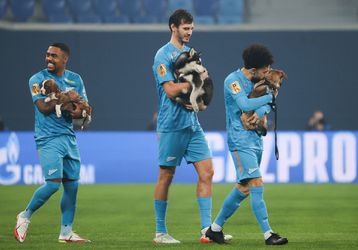 🎥🐶 | Zenit-spelers komen met elftal hondjes het veld op