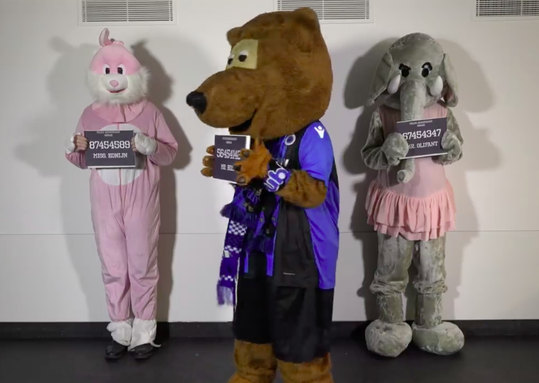 Club Brugge beschermt eigen mascotte met hilarisch filmpje tegen boze Genk-fans (video)