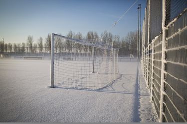 Rakvere Tarvas, de troosteloze degradant van Estland