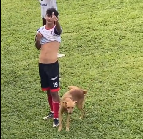 🎥 | Letterlijk het pispaaltje: hond pist voetballer uit El Salvador onder