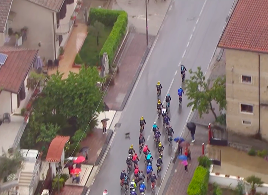 🎥 | Loslopend hondje laat Giro-peloton schrikken: favoriet Evenepoel onderuit