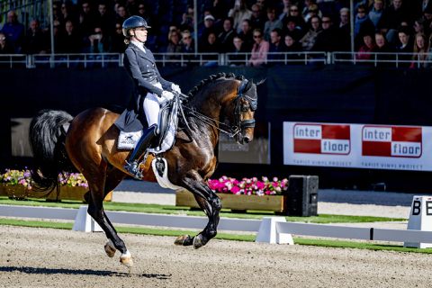 Oranje glorie op het paard! Nederlandse dressuurruiters bovenaan na 1e dag WK