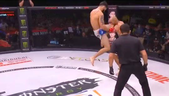 😱🎥 | Roman Faraldo maakt MMA-fans gek met deze ZIEKE vliegende knie-KO