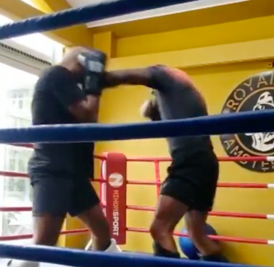 🎥 | Gerges spart met Rigters voor clash met Verhoeven: '29 oktober wordt van mij'