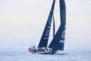 🎥 | Wow! Nederlandse zeilers aangevallen door orka's tijdens Ocean Race