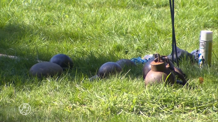 🎥 | Drama in Geldrop: man krijgt metalen bal tegen z'n hoofd bij Highland Games en overlijdt