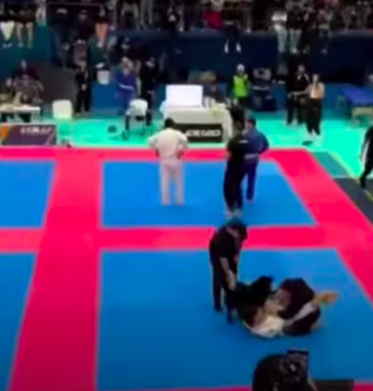 🎥 | Brave hond: viervoeter die baas wil beschermen 'verstoort' jiujitsu-toernooi