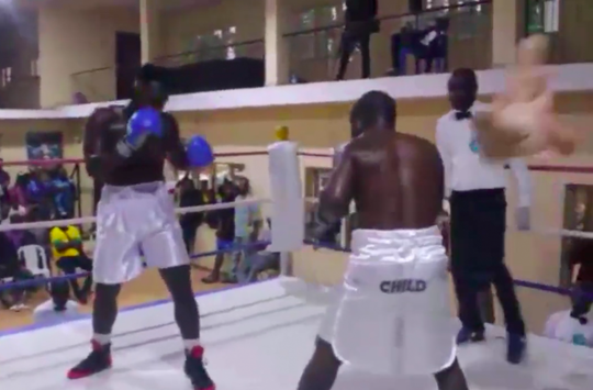 🎥 | Bokser verliest gevecht nadat eigen hoek de handdoek in de ring gooit