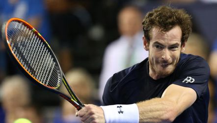 Murray helpt Britten naar Davis Cup-finale