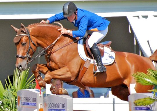 Springpaard London levert 8,6 miljoen euro op