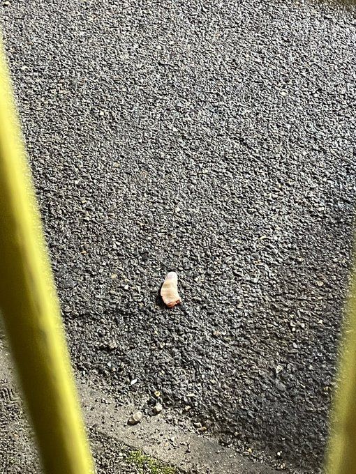 WTF! West Ham-supporter verliest vinger, steward legt 'm doodkalm op het hek