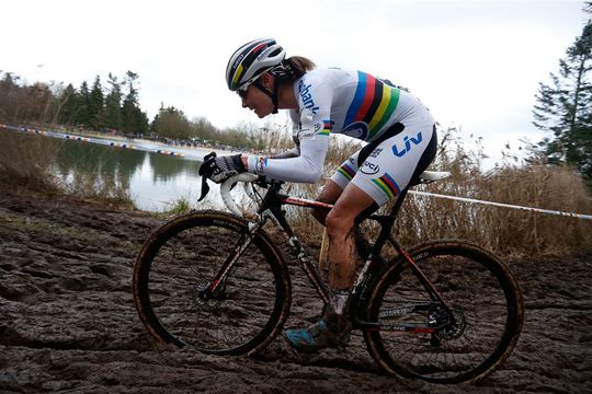 Slechte generale Vos in Hoogerheide