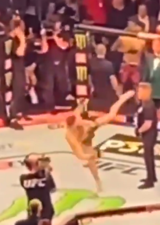 🎥 | LEGEND! Security-reus verroert geen vin als Conor McGregor trappen op hem oefent