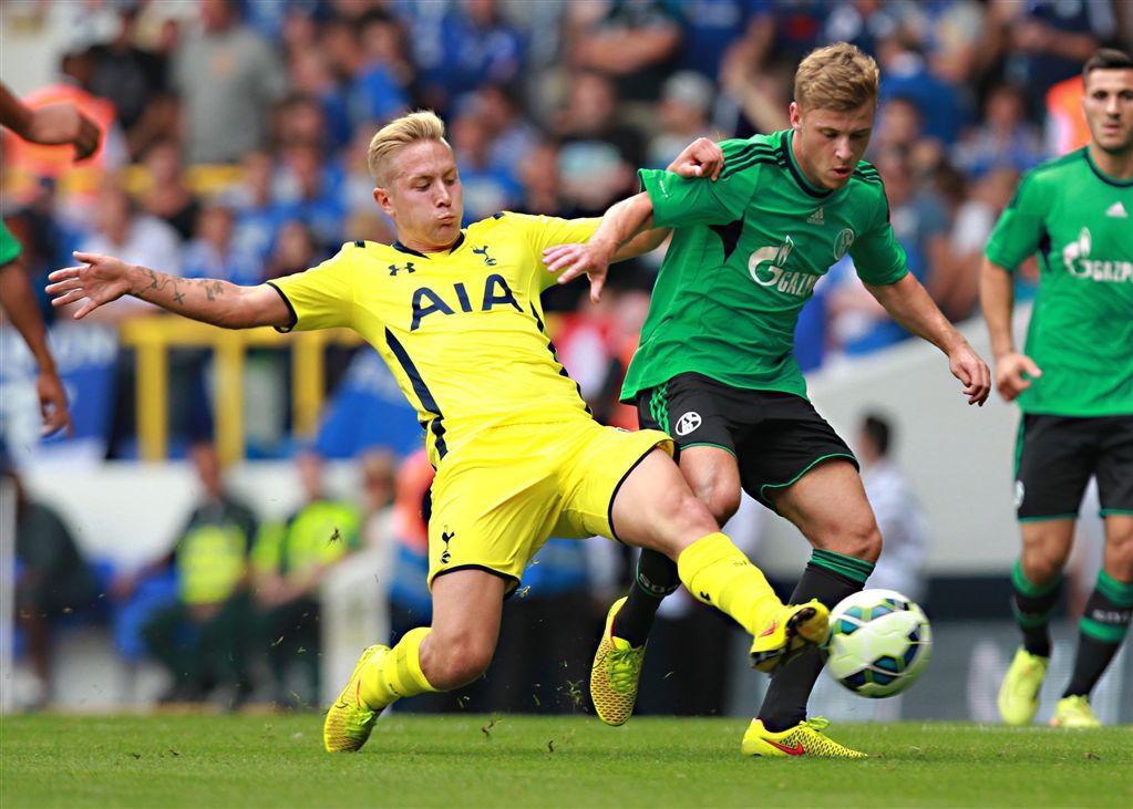 HSV huurt Holtby (Fulham) en Green (Bayern)