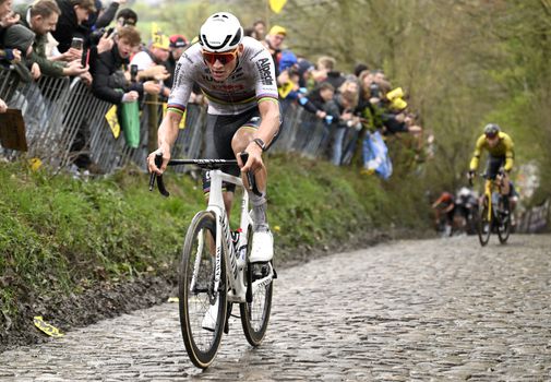 Verwondering over 'fenomeen' Mathieu van der Poel: 'Als je hem ziet, zijn die anderen een stel prutsers'