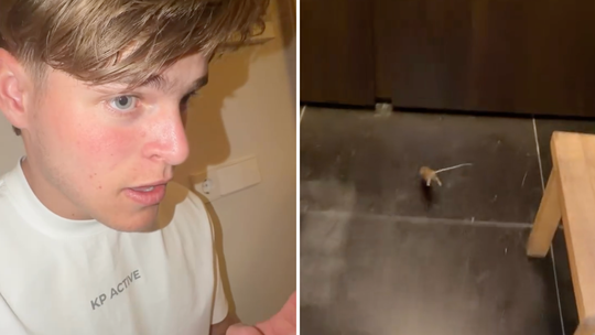 Zoon (21) van Erben Wennemars neemt flinke maatregelen in 'zware oorlog' thuis: 'We gaan hem pakken'