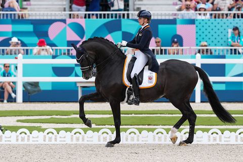 'Rare fout' maakt Nederlandse dressuurruiters kansloos voor olympische medailles: 'Waarom nu?'
