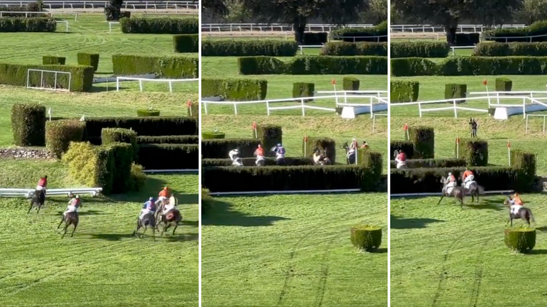 Chaos bij paardenrace: hilarische beelden door vallende jockeys