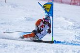 Het Nederlands avontuur van Marcel Hirscher is mogelijk al snel ten einde. © Getty Images