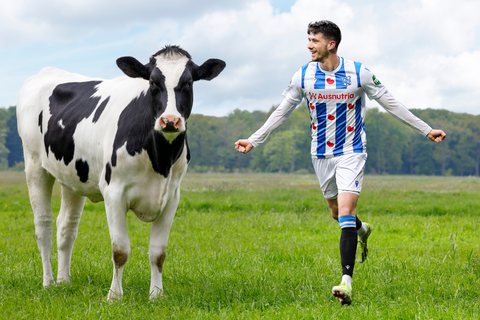 Heerenveen-spits Pelle van Amersfoort actief als boer: 'Zulke prachtige beesten vind ik hartstikke mooi'