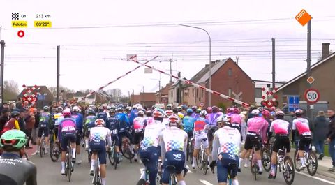 Winnaar Tadej Pogacar riskeert straf na treinchaos in Ronde van Vlaanderen